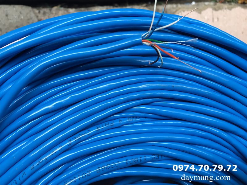 dây mạng cat5e xanh amp chụp gần