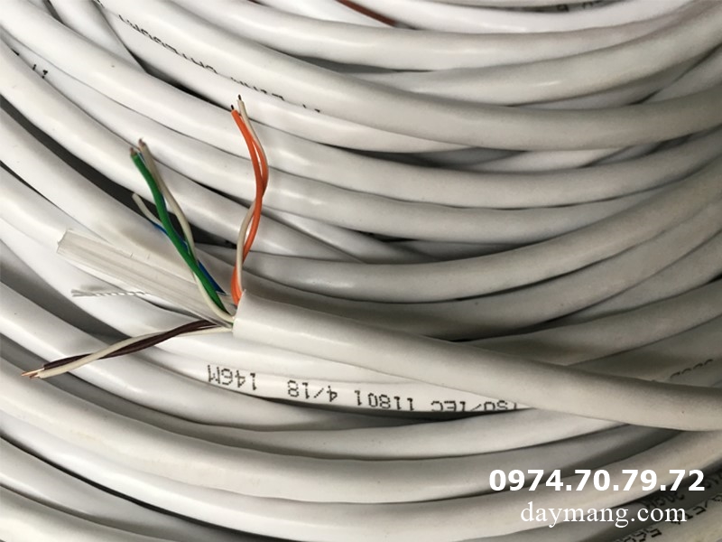 dây mạng cat6e amp màu trắng 2