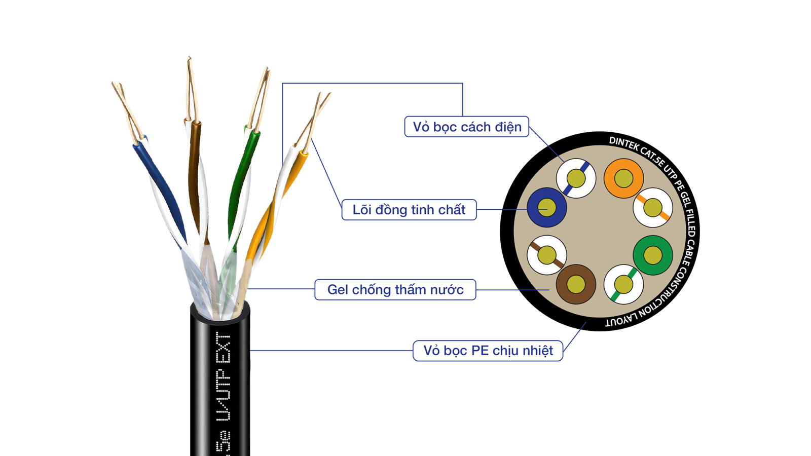 cáp mạng dintek cat5e ngoài trời có gel chống ẩm -1