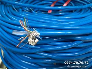 Cáp mạng Arigato cat6 FTP bọc bạc 1 lớp