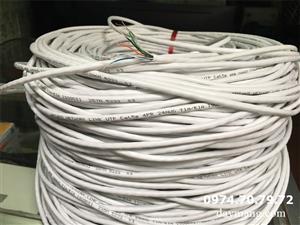 Cáp mạng cat5e trắng