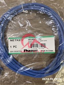 Dây nhảy mạng Panduit Cat6 UTP 3m